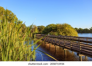 A Bobby Hicks Park, South Tampa