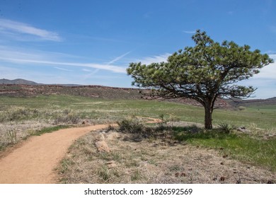 Bobcat Ridge Natural Area In Larimer County Colorado