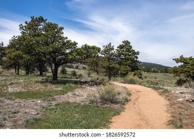 Bobcat Ridge Natural Area In Larimer County Colorado