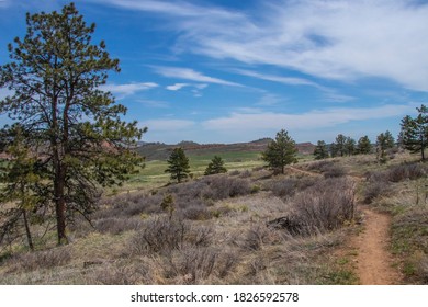 Bobcat Ridge Natural Area In Larimer County Colorado