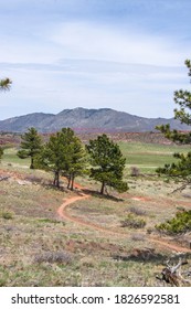 Bobcat Ridge Natural Area In Larimer County Colorado