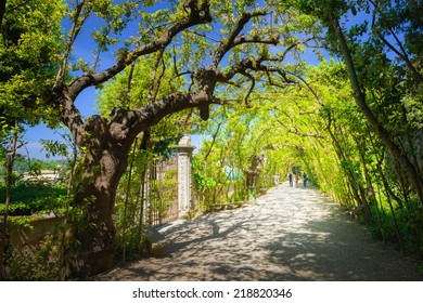 Boboli Gardens, Florence, Italy