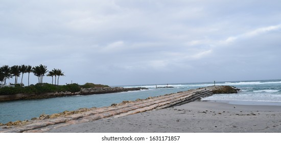 Boca Raton Inlet With Palm Trees