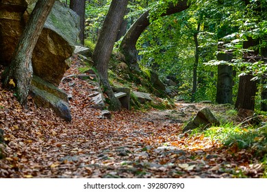 Bode Valley, Harz, Germany