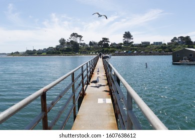 Bodega Bay, CA, EUA, City Where Filmed The Birds By Alfred Hitchcock