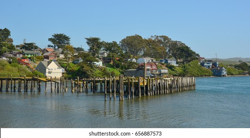 Bodega Bay, California, USA  