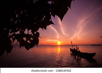 The Bodhi Tree Near The Sea During Sunset