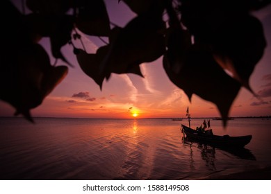 The Bodhi Tree Near The Sea During Sunset