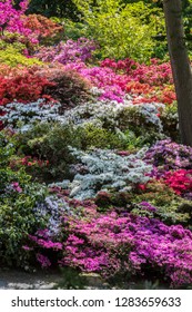 Bodnant Gardens show of colour - Shutterstock ID 1283659633