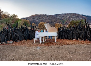 Bodrum, Cokertme, Turkey, 10212021; Pianist, Kerem Gorsev Playing Live Open Air On White Piano. Jazz Concert At 