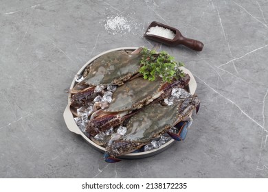 The Body Of Blue Crab Is Black Purple With Blue Patterns, And The Carapace Is Diamond-shaped. The Claws Are Large And Long, And The Rest Of The Feet Are All Broad.