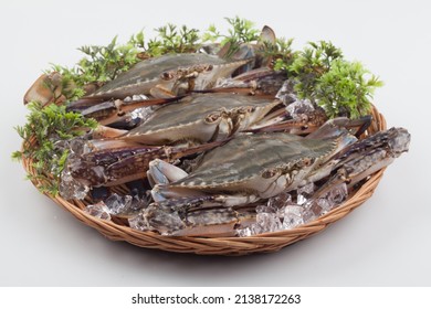 The Body Of Blue Crab Is Black Purple With Blue Patterns, And The Carapace Is Diamond-shaped. The Claws Are Large And Long, And The Rest Of The Feet Are All Broad.