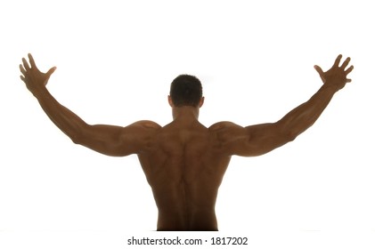 Body Builder Back