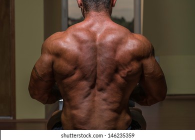 Body Builder Flexing His Back