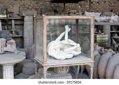 A Body Of Dead Dog In Pompeii, Italy