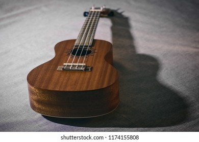 the body and strings of a ukulele