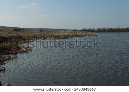 A body of water with a grassy area in the background