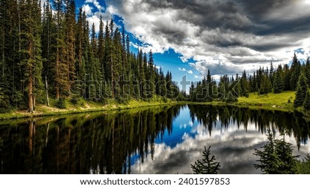 a body of water surrounded by trees under a cloudy sky, coniferous forest, lake reflection, trees reflecting on the lake, forest with lake