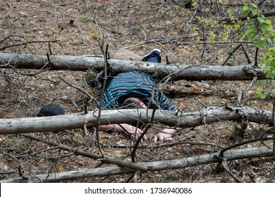 A Body In The Woods. A Dead Man In A Blue T-shirt And Trousers Is Pinned Down By A Fallen Tree. Concept Of Accidents In The Forest. Horizontal Photo.