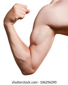 Bodybuilder Arm Isolated On White Background.