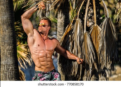 Bodybuilder and fitness men model, Mišel Lozani?, photographed in different poses, WB - Shutterstock ID 770858170