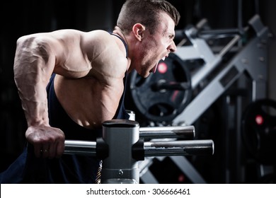 Bodybuilder Man In Gym Doing Dips As Arm Training 