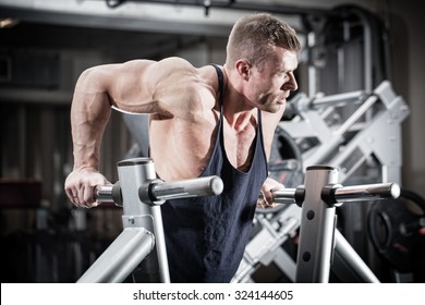 Bodybuilder Man In Gym Doing Dips As Arm Training 