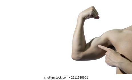 Bodybuilder Showing His Forearm Muscles Isolated On White Background.