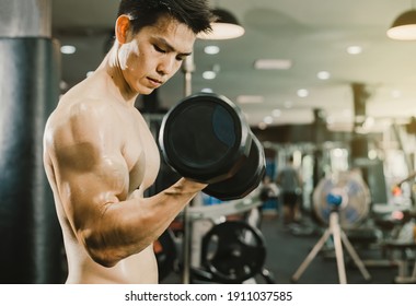 Bodybuilding male workout concept, Asian men lifting dumbbells to build muscle in fitness gym.