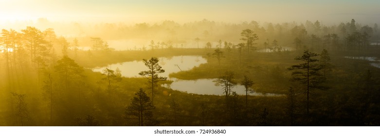 Bog Landscape In The Morning, Estonia.