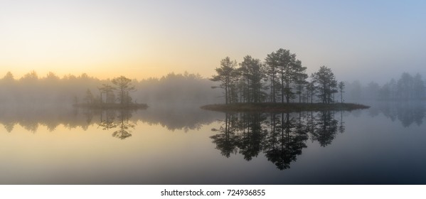 Bog Landscape In The Morning, Estonia.