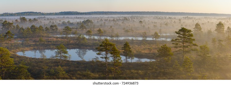 Bog Landscape In The Morning, Estonia.