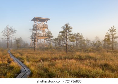 Bog Landscape In The Morning, Estonia.