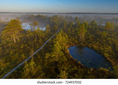 Bog Landscape In The Morning, Estonia.