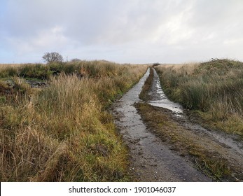 Bog Road In Athea West Limerick