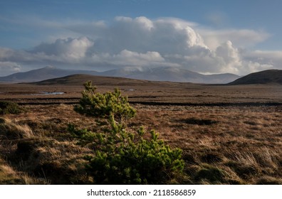 Bogland at the edge of Wild Nephin National Park in Ireland. It is located on the western seaboard in Northwest Mayo. It comprises of 11.000 hectares of Atlantic Blanket Bog and mountainous terrain.