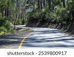 Bogong High Plains Road below Falls Creek