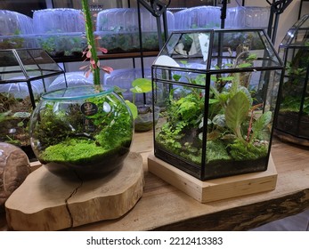 Bogor, Indonesia - September 25th, 2022 - This Is Planted Aquarium Design