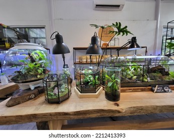 Bogor, Indonesia - September 25th, 2022 - This Is Planted Aquarium Design