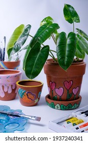 Bogor, West Java, Indonesia-February 17, 2021 : Philodendron Burle Marx Variegated In Hand Painted Plant Pot On The Table.