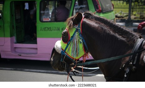 Bogor, West Java Indonesia-November 8, 2022 : A Black Horse Wearing A Face Mask Is Waiting For Passengers In The City Of Bogor With City Transport Car Background