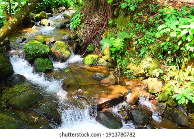 Bogor,gunung Salak,19 Desember 2019,art And Nature Merge And Give To Beauty, Sweeping Over The Flowing Waters Of A Sunny Day