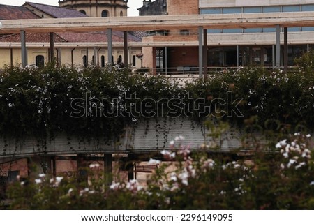 Similar – Foto Bild Freiheit II Rialto Venedig