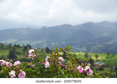Bogota from the periphery - COLOMBIA - Shutterstock ID 2205778291