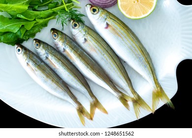 Bogue fish also known as Boops boops with rockets leaves served on white plate with black background