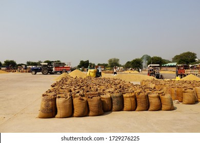 Boha, Punjab, India - 27 October, 2019: Grain Market With Filled Sack Of Crop