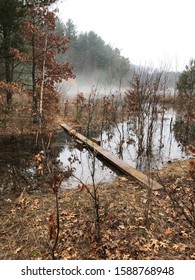 Bohn Lake Segment On The Ice Age Trail