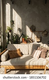 Boho Style Modern Home Interior Design. Sofa, Pillows, Home Plants, Carpet And Decorations Against Concrete Wall. Bohemian Sitting Room With Sun Light Shadows On The Wall.