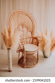 Boho Style Set Up In A Photo Studio For A Photo Session