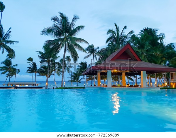 Bohol Philippines Aug 07 2016 Swimming Stock Photo Edit Now